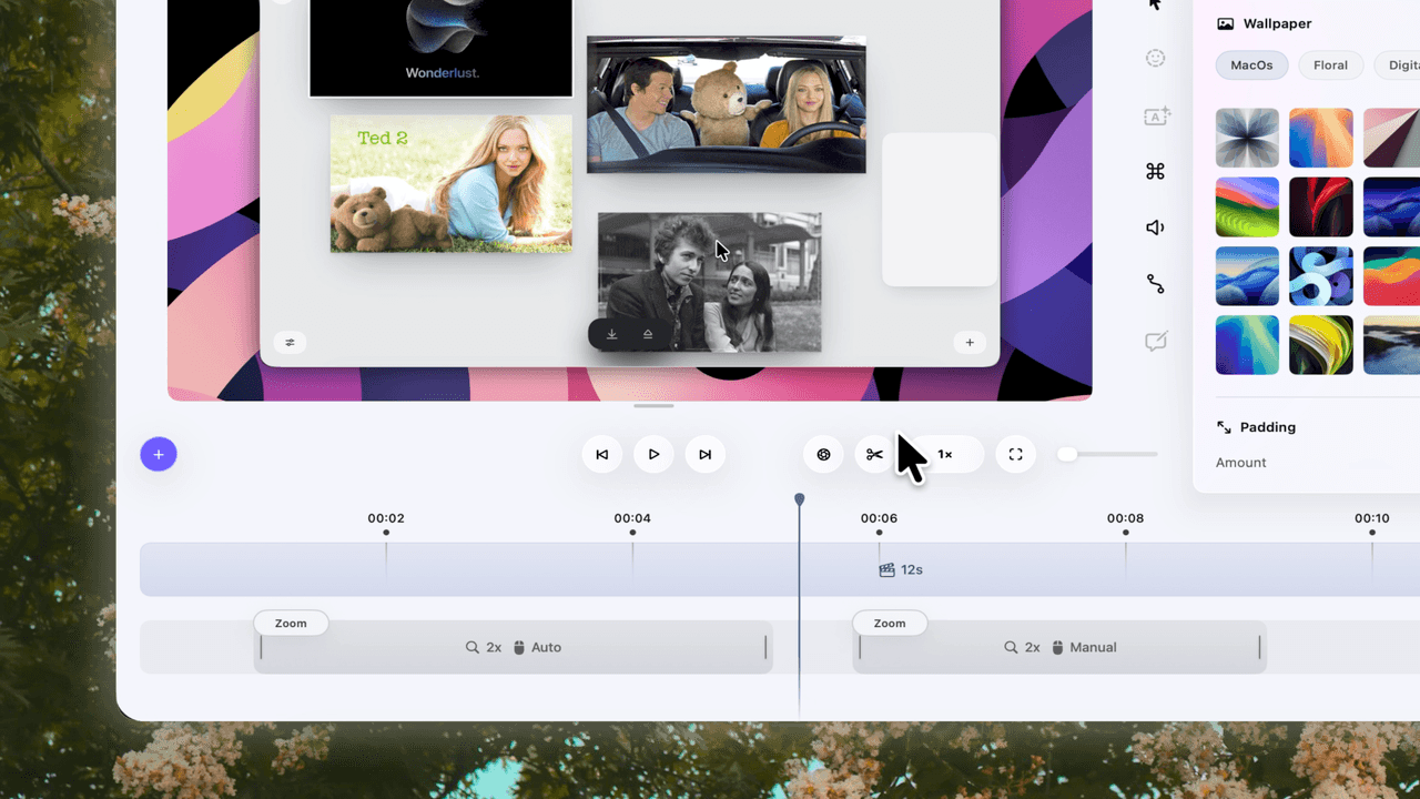 Manual and auto zoom feature